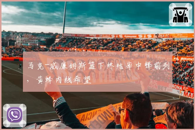 马克-威廉姆斯篮下终结率中锋前列，黄蜂内线希望