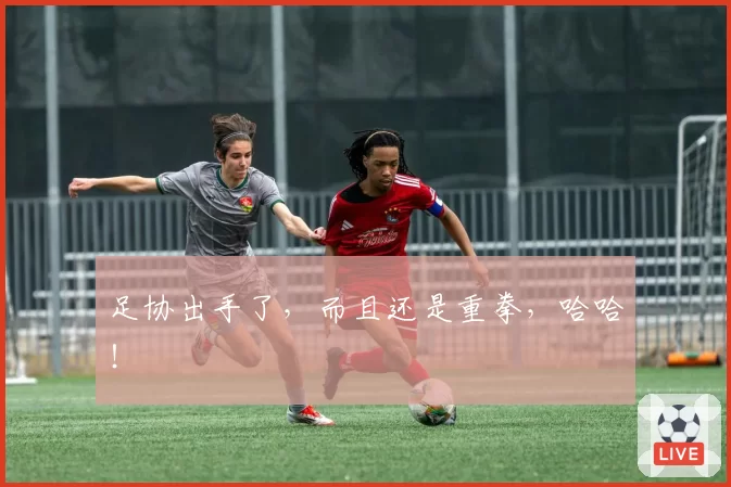 足协出手了,而且还是重拳,哈哈!