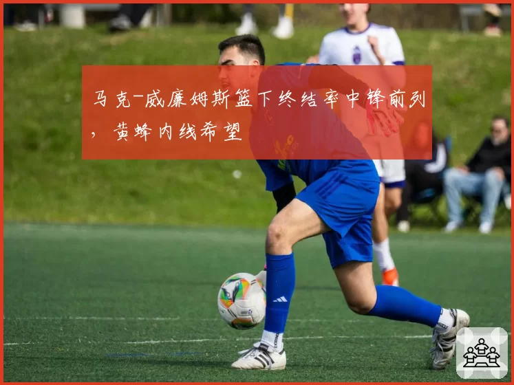 马克-威廉姆斯篮下终结率中锋前列，黄蜂内线希望